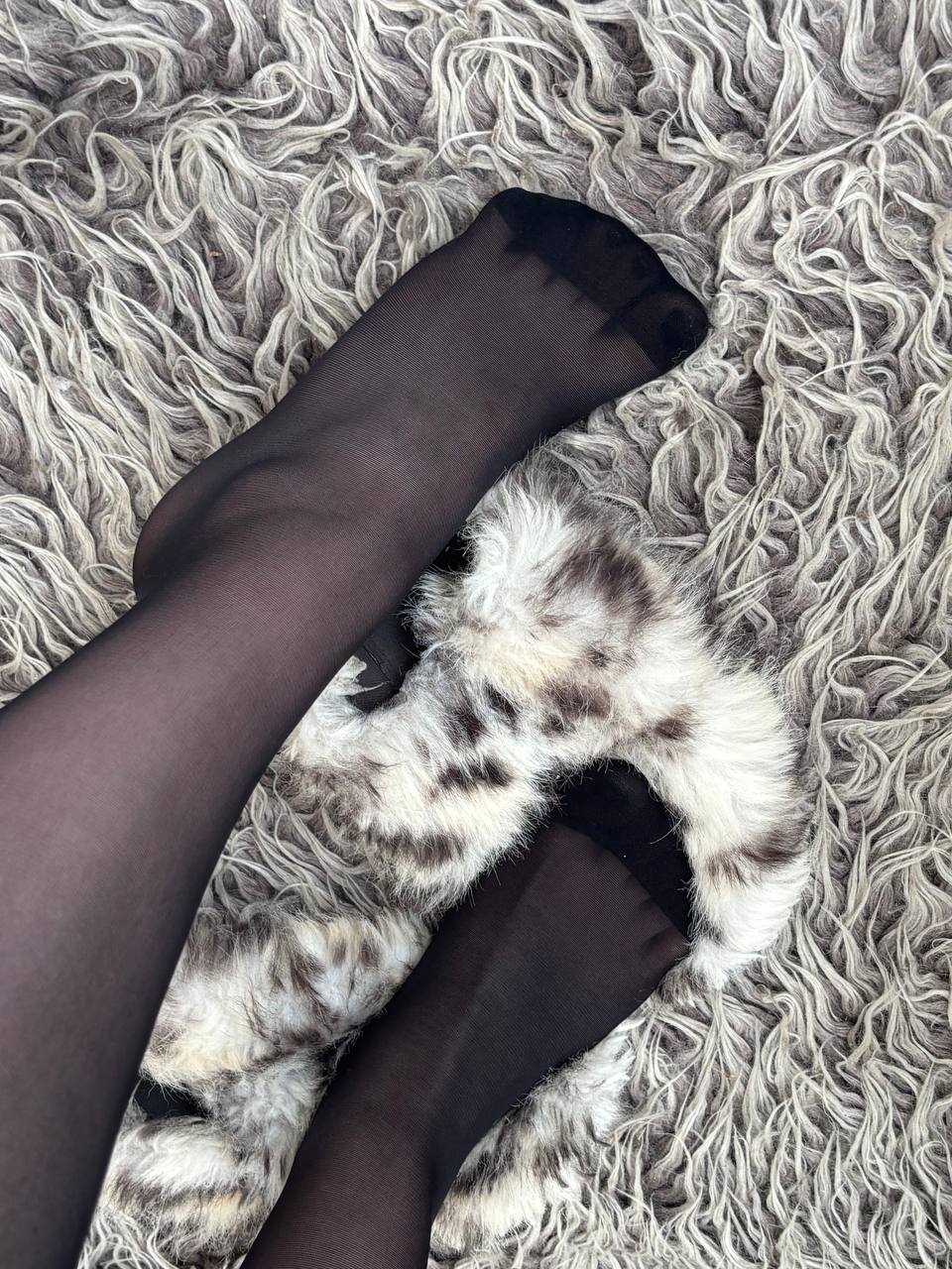 Колготки капроновые от DominAngela